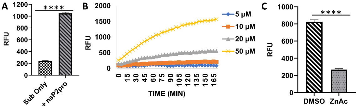 Development of antivirals against the nsP2 protease of alphaviruses